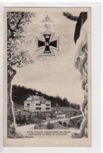 Penig mit König Friedrich August-Heim der Patentpapierfabrik in Wilischthal ungelaufen Leicht bügig, sonst gut erhalten.