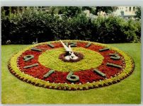 Blumenuhr Flower-clock AK Zoo
