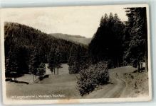 98693 O6313 Manebach - im Langebachstal