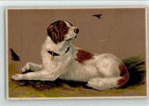 Jagdhund Großer Hund 1907 Prägedruck
