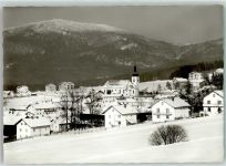 93471 W8498 Arnbruck - Winter