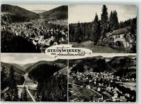 96349 W8645 Steinwiesen