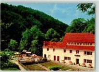 91349 W8551 Schlehenmühle - Gasthaus-Pension Friedrich Gartenwirtschaft Nutzgarten