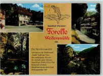 96260 W8628 Weihersmühle - Gasthaus u. Pension Forelle