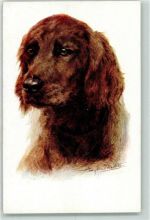 Setter sign. Großer Hund Künstlerkarte