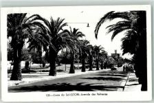 Estoril - Costa do Sol Avenida das Palmeiras Palmen Auto