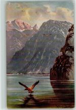 HKM Serie 226 Raubvogel Künstlerkarte