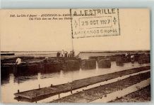 33510 Andernos-les-Bains - la Cote d`Argent une Visite dans un Parc aux Huitres