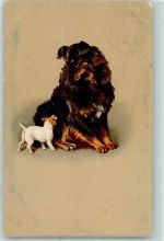 Welpe Großer Hund 1918