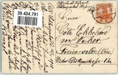 Welpe Großer Hund 1918