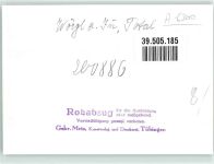 6300 Wörgl FOTO KEINE AK Rohabzug Ort handschriftlich