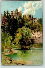 87645 W8959 Schwangau 1902 Lithographie Schloss Hohenschwangau Schwan