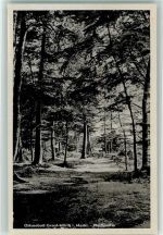 18181 O2553 Graal-Müritz , Seeheilbad - Wald