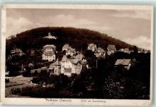 65719 W6238 Hofheim am Taunus 1915 - Villen am Kapellenberg