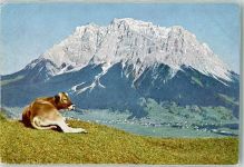 6632 Ehrwald - Zugspitze