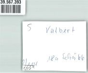 58540 W5882 Valbert , Westf FOTO KEINE AK Ort handschriftlich Winter