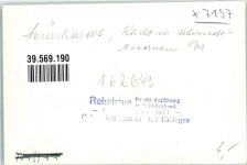 71540 W7157 Murrhardt FOTO KEINE AK Foto Original aus Archiv eines Ansichtskartenverlags Kirche Ort handschriftlich