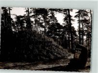 45721 W4358 Flaesheim FOTO KEINE AK Heidegrab Gedenkstein MaxLincke Ort handschriftlich