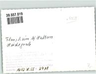 45721 W4358 Flaesheim FOTO KEINE AK Heidegrab Gedenkstein MaxLincke Ort handschriftlich