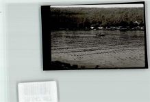 74862 W6951 Binau Privatfoto KEINE AK Ort handschriftlich