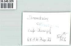 67246 W6716 Dirmstein Privatfoto KEINE AK Ort handschriftlich