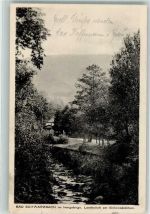 Bad Schwarzbach Czerniawa Zdroj 1926 Foto AK Am Birkenwädlchen