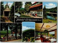 79691 W7861 Neuenweg - Gasthaus Haldenhof