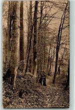 Oudergem Freundeskreis des Waldes von Soignes Fotoapparat