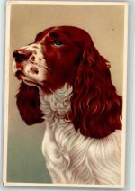 English Springer Spaniel Spaniel Künstlerkarte