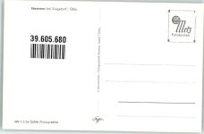 83317 W8221 Hammer - Vogelschau
