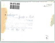 57334 W5928 Feudingen , Kr Wittgenstein FOTO KEINE AK Gasthaus zur Post Foto Original aus Archiv eines Ansichtskartenverlags