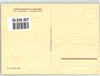 Landestierschutzverein für Steiermark Jagdhund Tierschutz