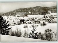 79669 W7863 Gresgen Foto AK Winter
