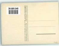 W1000 Britz Nagelrochen Original im Besitz der Firma Curta & Co Berlin Werbung Fisch Künstlerkarte