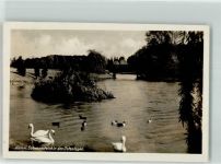 57577 W5249 Hamm Sieg 1935 Foto AK Schwanenteich