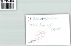 57392 W5948 Oberkirchen , Sauerl FOTO KEINE AK Ort handschriftlich Foto Original aus Archiv eines Ansichtskartenverlags