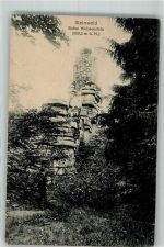 95679 W8598 Waldershof Foto AK Burg Ruine Weissenstein Steinwald