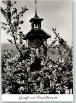 74653 W7118 Ingelfingen Foto AK Gruß Kirche Turm Glocke Uhr Baumblüte