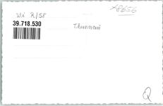 95349 W8656 Thurnau FOTO KEINE AK Schwäne Foto Original aus Archiv eines Ansichtskartenverlags Ort handschriftlich