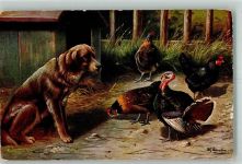 Hund Truthahn Hühner T.S.N. Serie 841 Schönian, A. Künstlerkarte