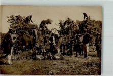 Prilep Pfeife Pferde Bauern Soldaten Heuernte Trachten Mazedonien 1916 FOTO KEINE AK