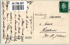 Nelken Blumen 3. Sammlung Serie 55 Verlag Waldemar Heldt Herrlich, Lotte Künstlerkarte