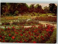 06526 O4700 Sangerhausen - Rosarium Ausstellung