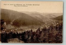 98693 O6313 Manebach 1923 - Blick ins Ilmtal vom Trantvetter Borkenhaus