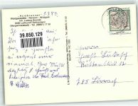 36381 W6490 Schlüchtern - Waldgasthaus Acisbrunnen Wildschweine