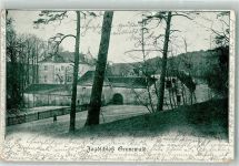 10115 W1000 Grunewald 1899 - Jagdschloss