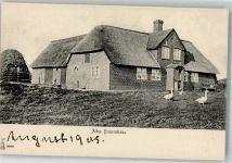 Gänse Bauernhaus 1905