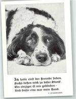 Epagneul Francais Spruch F. Leimgruber Tierschutz
