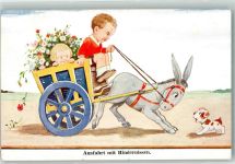 Ausfahrt m. Hindernissen Kinder Hund WBSS 2019 Esel
