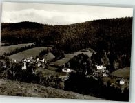 72275 W7297 Reinerzau - Sanatorium Kurhaus